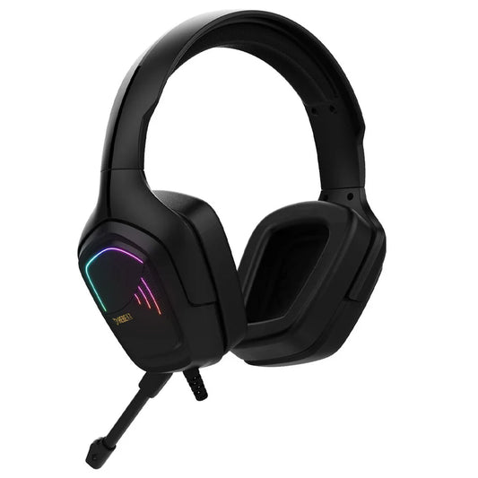 H110 3.5mm Wired Dual Plug Computer Stereo Headset with Mic - Black