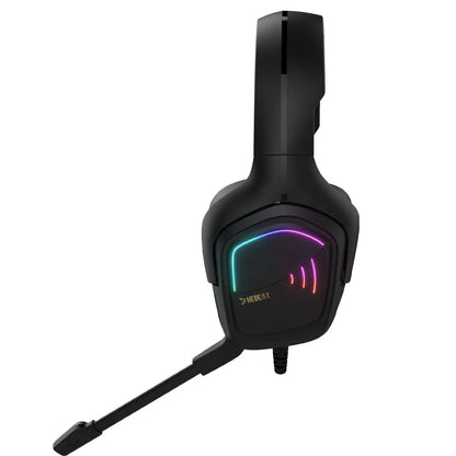 H110 3.5mm Wired Dual Plug Computer Stereo Headset with Mic - Black
