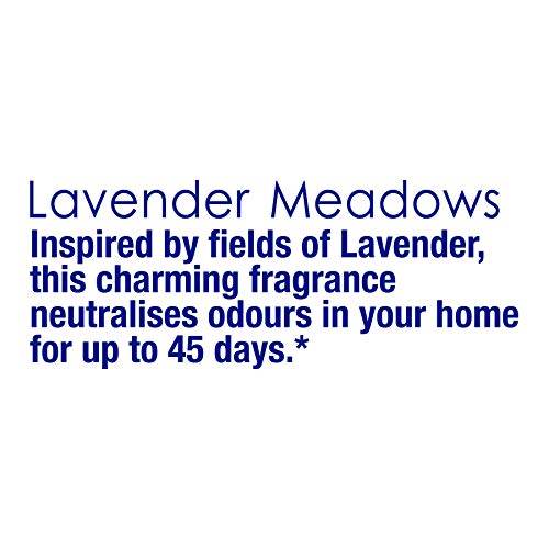 Air Freshner- Blocks LAVENDER 50gms - Thebrands