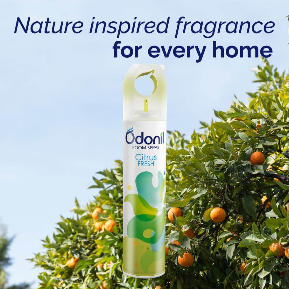 Air Freshner Spray CITRUS FRESH 220ml - Thebrands