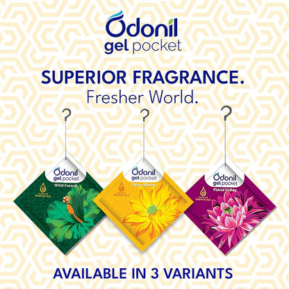Air Freshner- Zipper CITRUS BLOOM 10gms - Thebrands