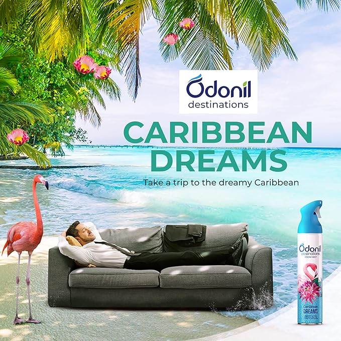 Air Freshner Spray CARRIBIAN DREAMS 240ml - Thebrands