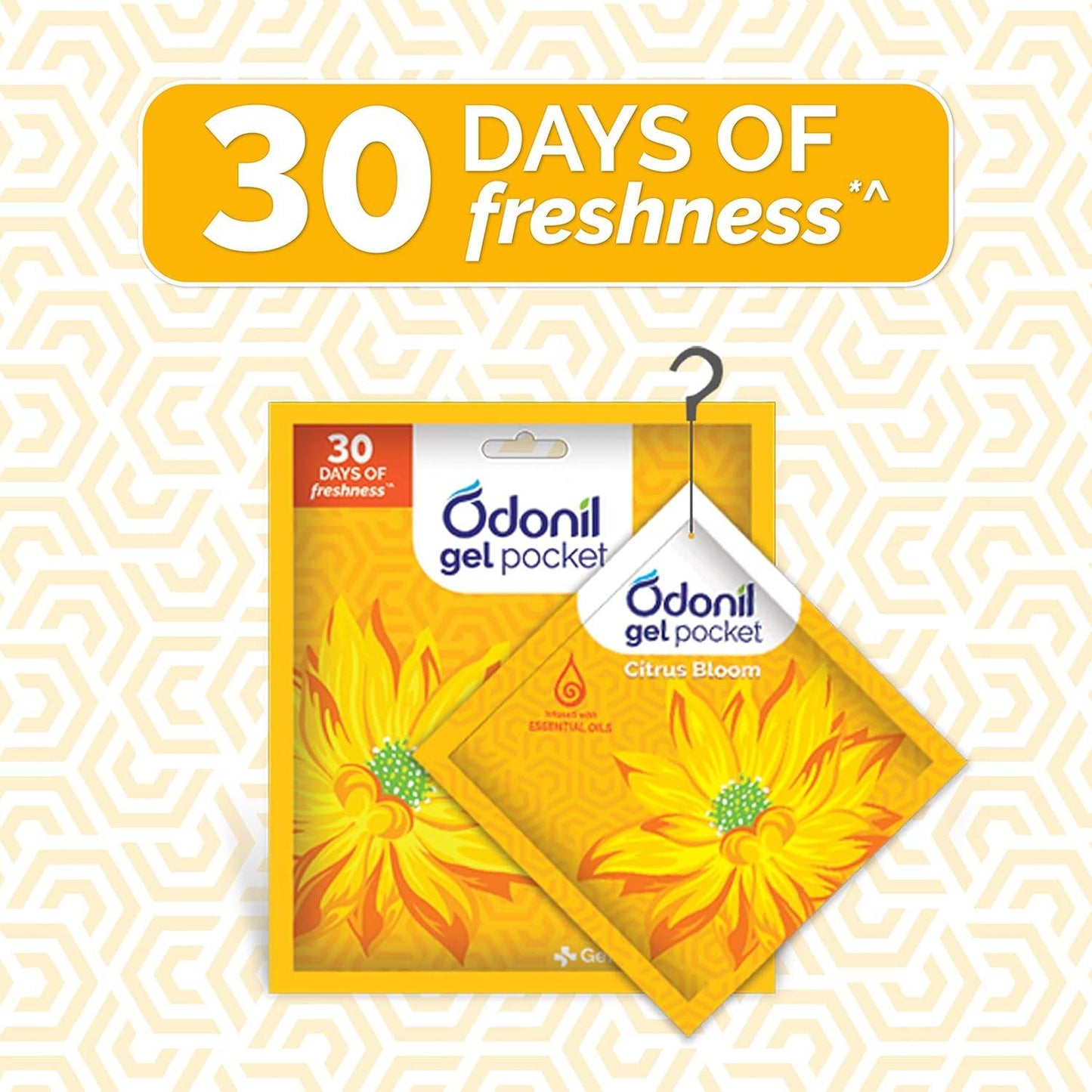 Air Freshner- Zipper CITRUS BLOOM 10gms - Thebrands