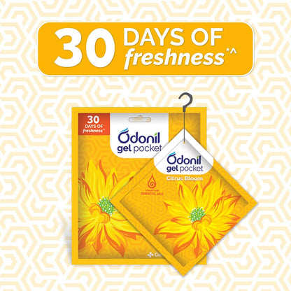 Air Freshner- Zipper CITRUS BLOOM 10gms - Thebrands