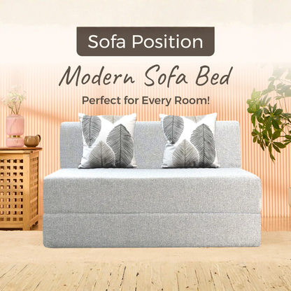 SOFA CUM BED  4x6' Double Seater  / Silver / 2 Threadbare Cushions