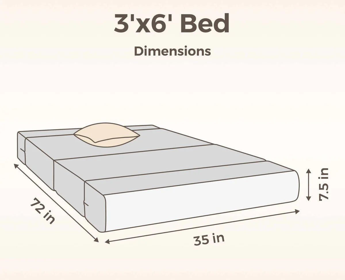 SOFA CUM BED  3x6' Single Seater  / Silver / 1 Threadbare Cushions